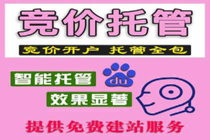 百度搜索引擎优化推广：成功案例揭秘